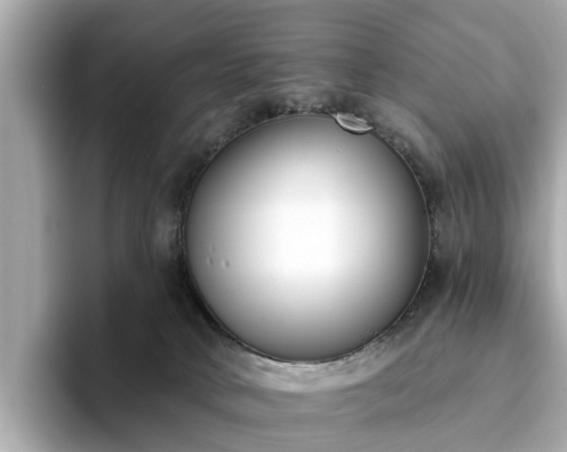 X0000094070034200710261256