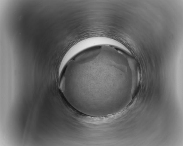 X0000094070037200710261256