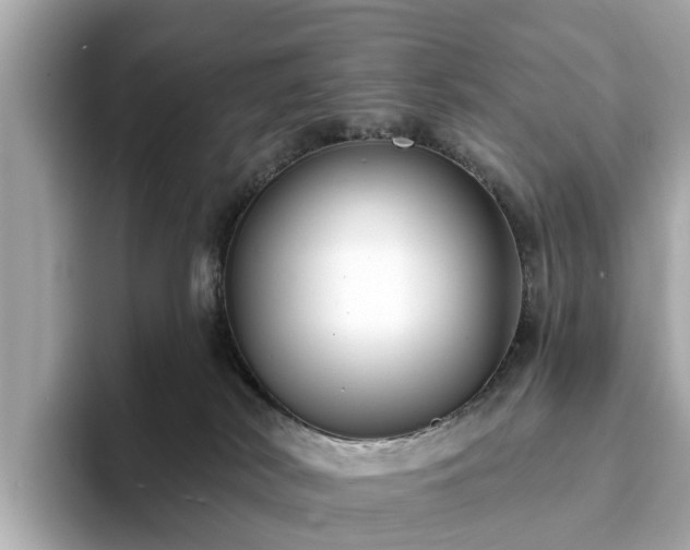 X0000094070038200710261256