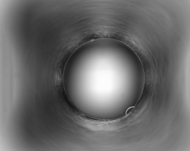 X0000094070040200710261256