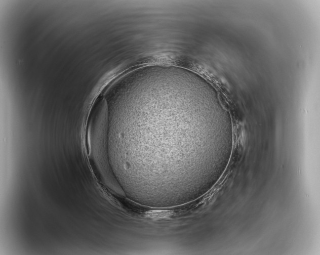 X0000094070051200710261255