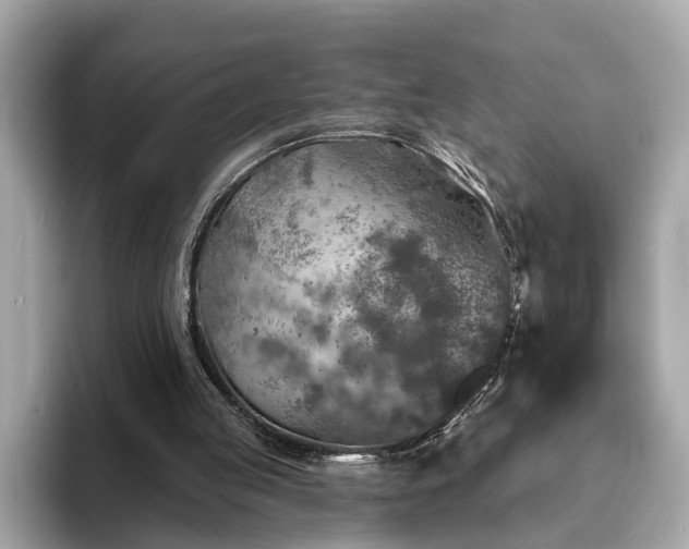 X0000094070053200710261255