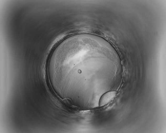 X0000094070054200710261255