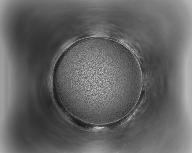 X0000094070055200710261255