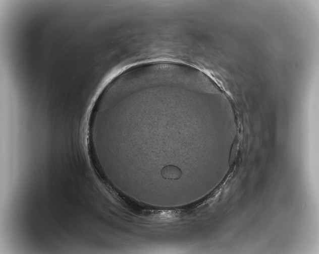 X0000094070056200710261255
