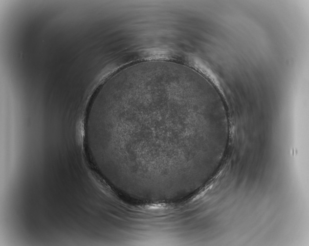 X0000094070059200710261255