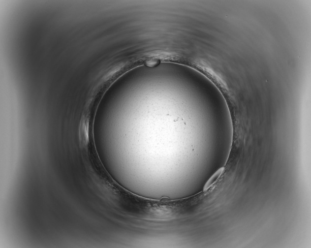 X0000094070062200710261255