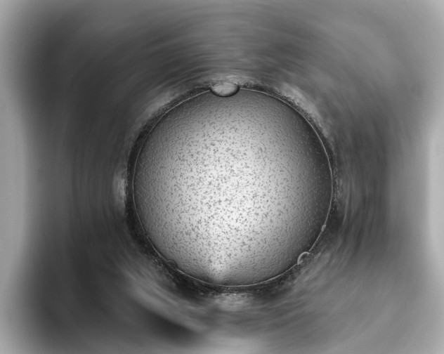 X0000094070063200710261255