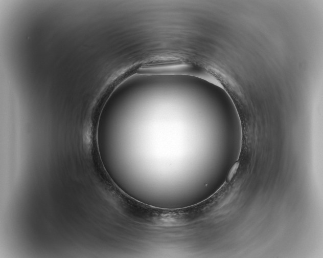 X0000094070064200710261255
