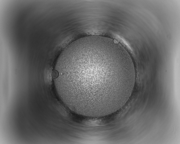 X0000094070065200710261255