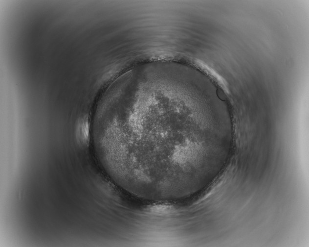 X0000094070067200710261255