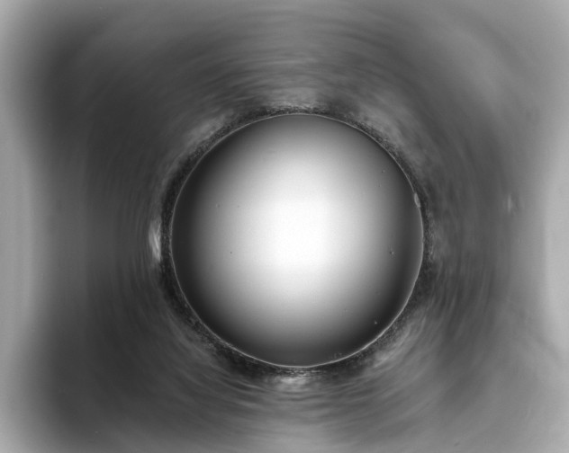 X0000094070068200710261255