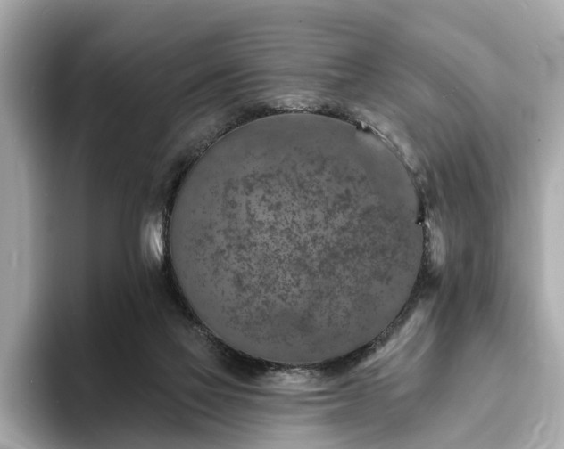 X0000094070069200710261255