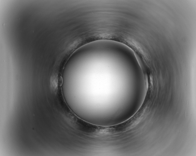 X0000094070072200710261255