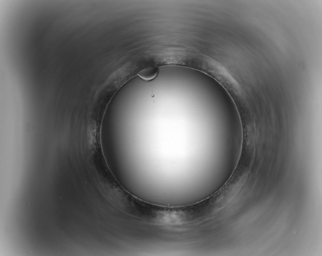 X0000094070073200710261255