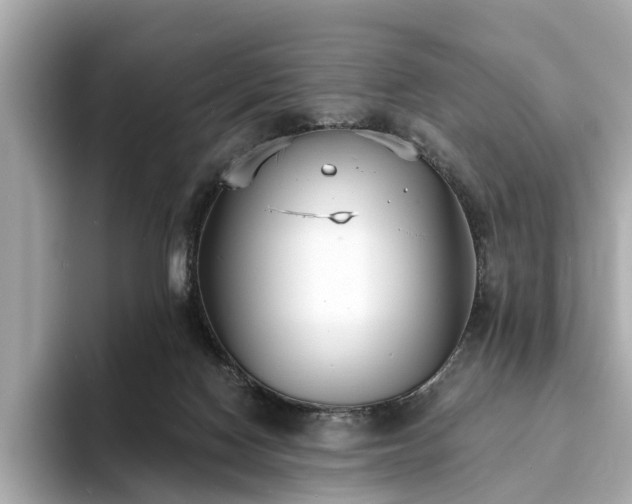 X0000094070074200710261255