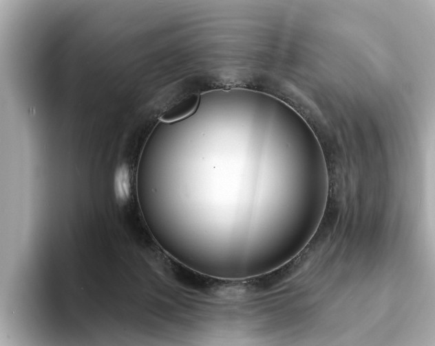 X0000094070075200710261255