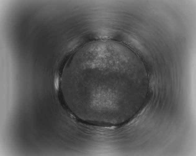 X0000094070076200710261255