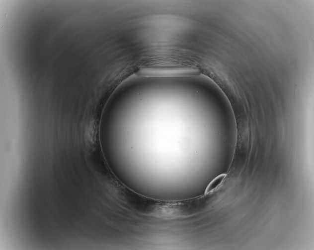 X0000094070078200710261255