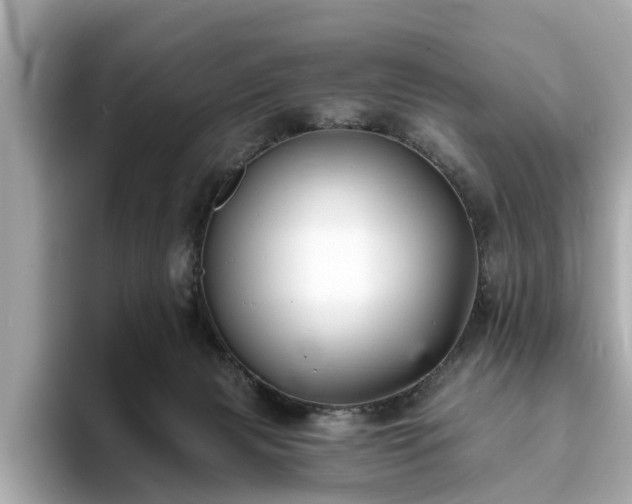 X0000094070079200710261255