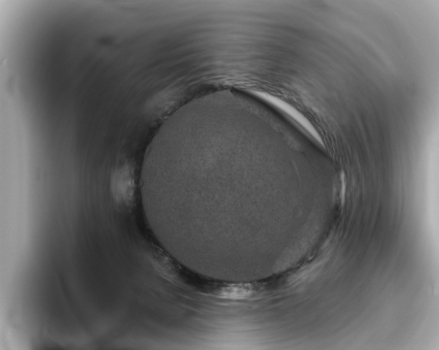 X0000094070080200710261255