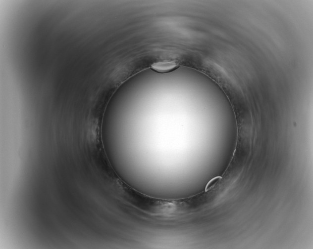 X0000094070083200710261255