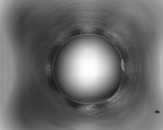 X0000094070086200710261255
