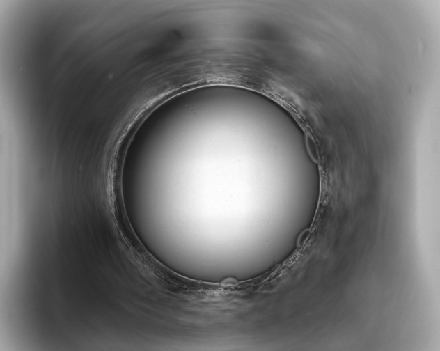 X0000094070098200710261255