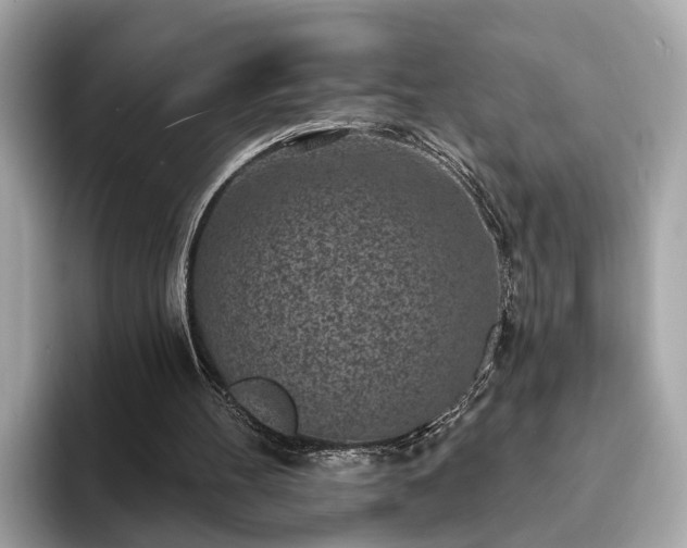 X0000094070100200710261255