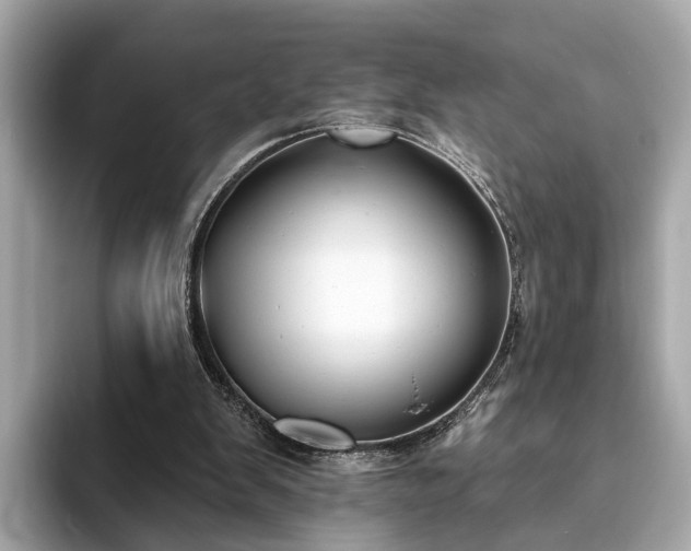 X0000094070103200710261255