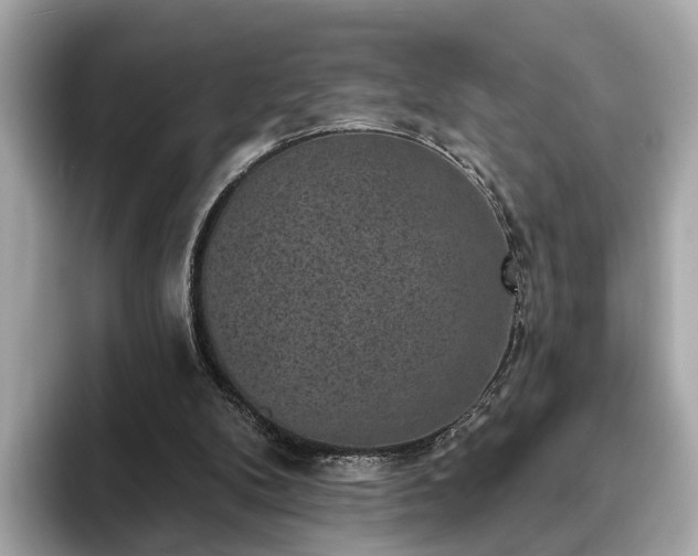 X0000094070104200710261255