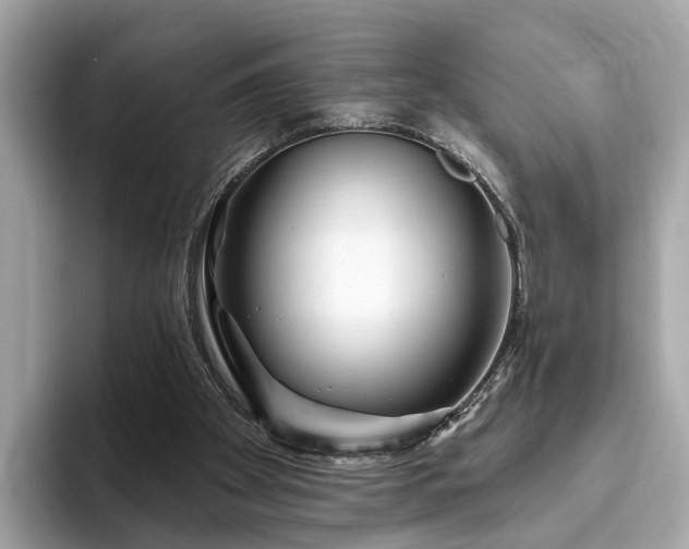 X0000094070105200710261255