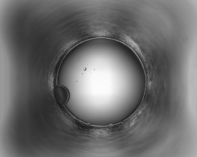 X0000094070106200710261255