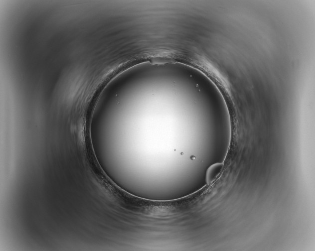 X0000094070107200710261255