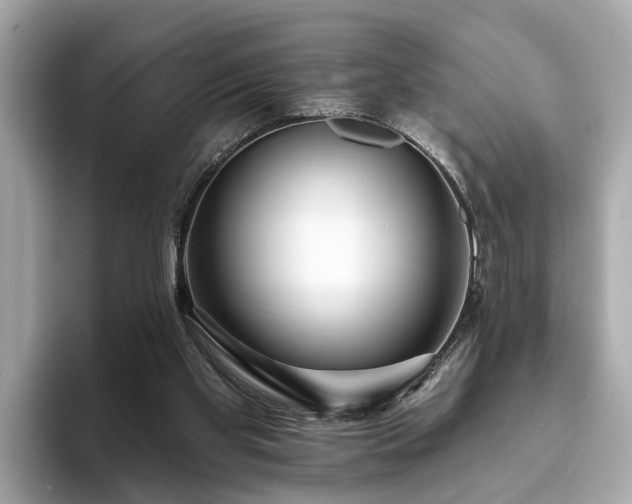 X0000094070109200710261255