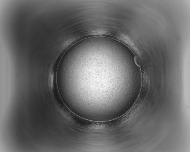X0000094070110200710261255