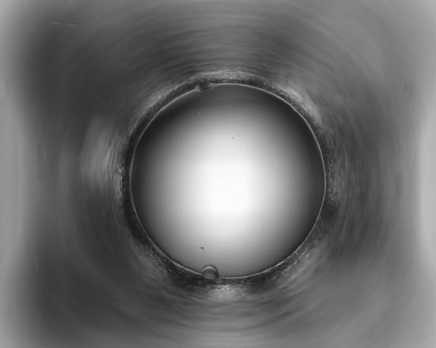 X0000094070111200710261255
