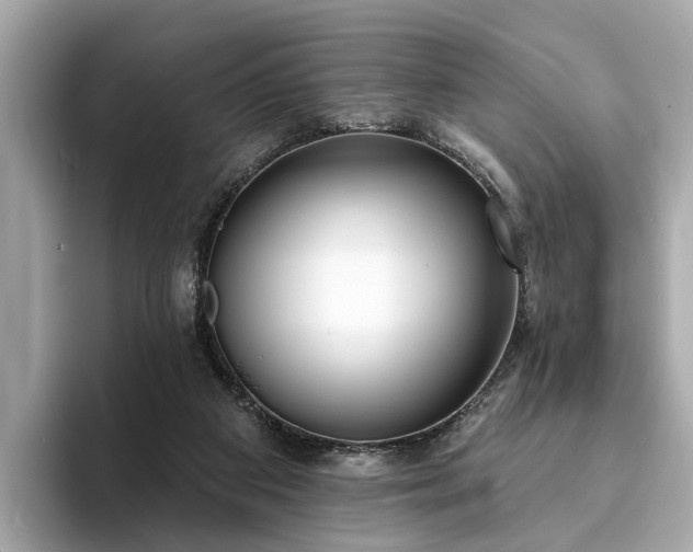X0000094070113200710261255