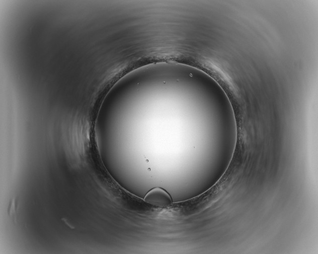 X0000094070115200710261255