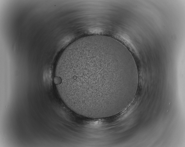 X0000094070116200710261255
