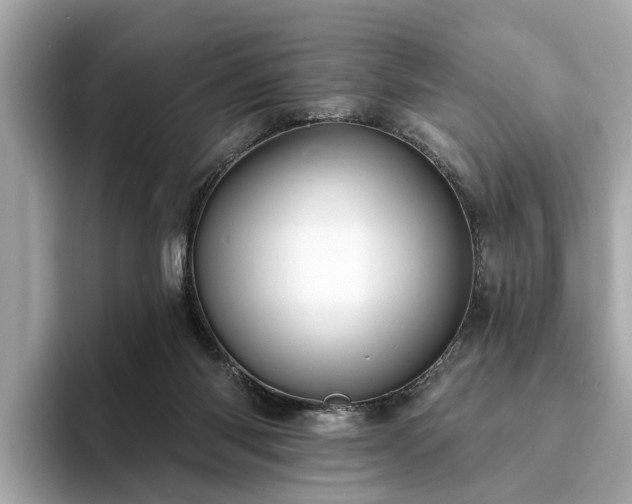 X0000094070118200710261255