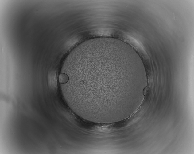 X0000094070120200710261255