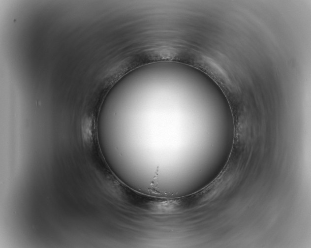 X0000094070122200710261254