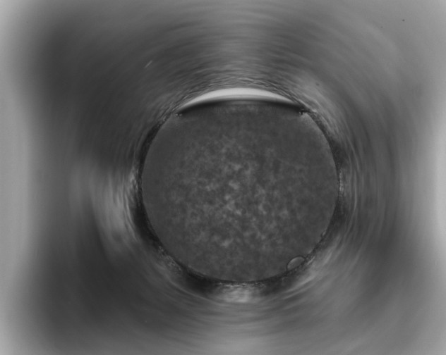 X0000094070127200710261254
