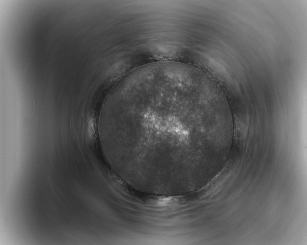 X0000094070130200710261254