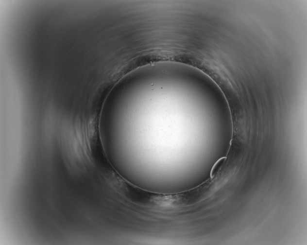 X0000094070131200710261254