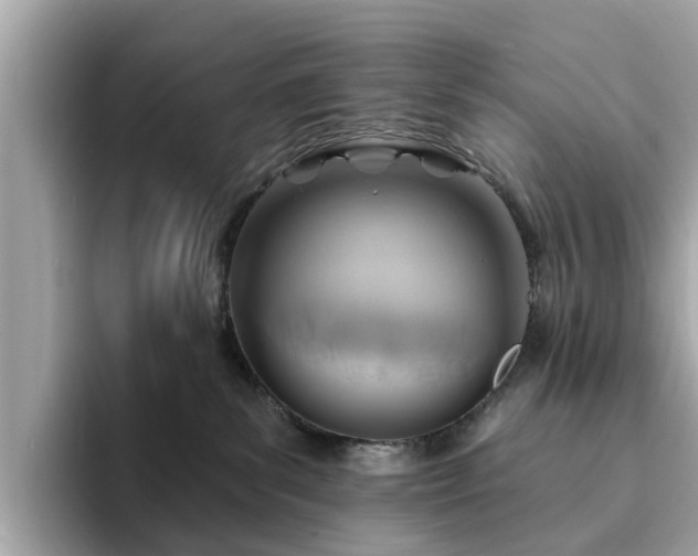 X0000094070139200710261254