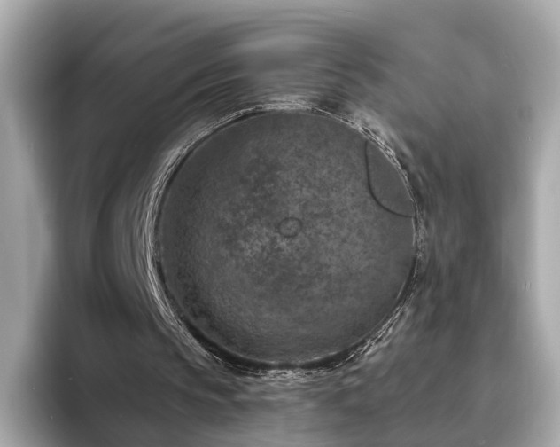 X0000094070145200710261254