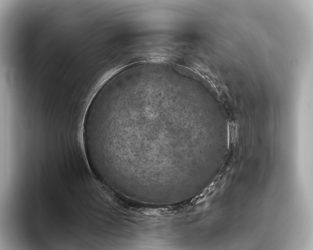 X0000094070147200710261254