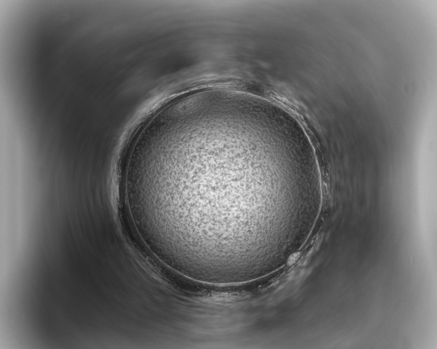 X0000094070149200710261254